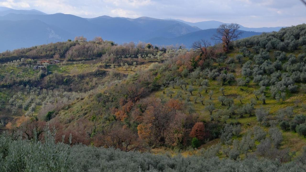 Agriturismo Il Casaletto Montefranco Exterior foto