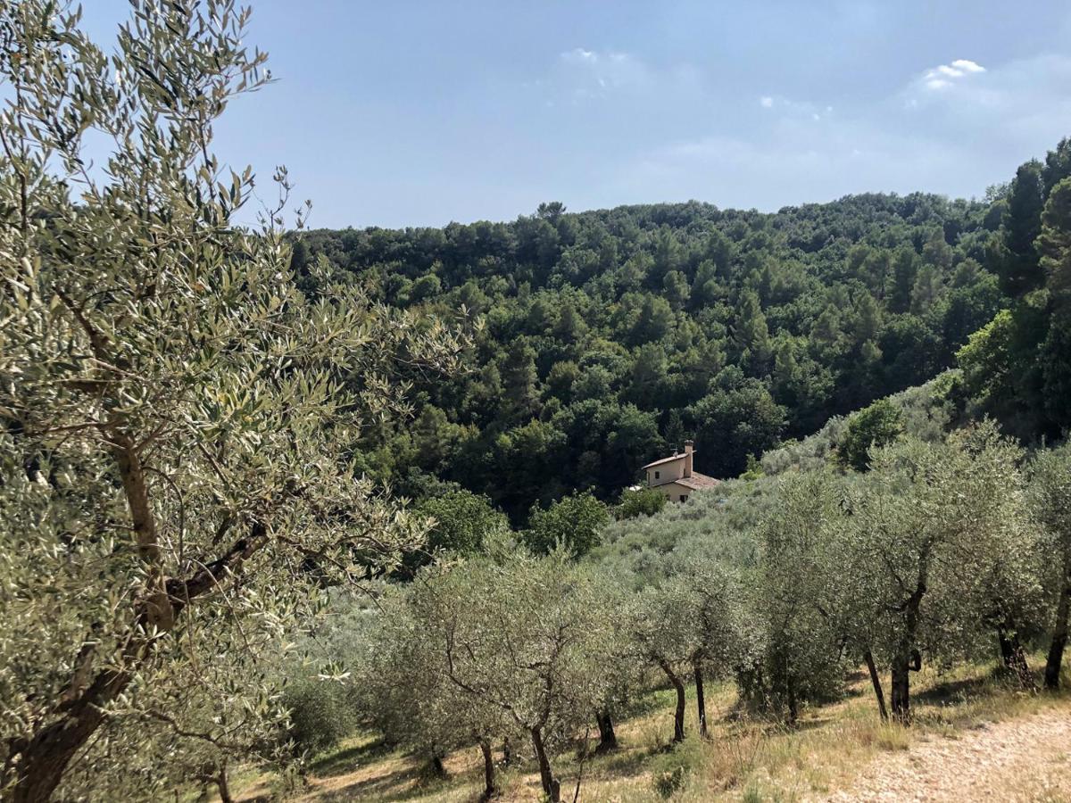 Agriturismo Il Casaletto Montefranco Exterior foto
