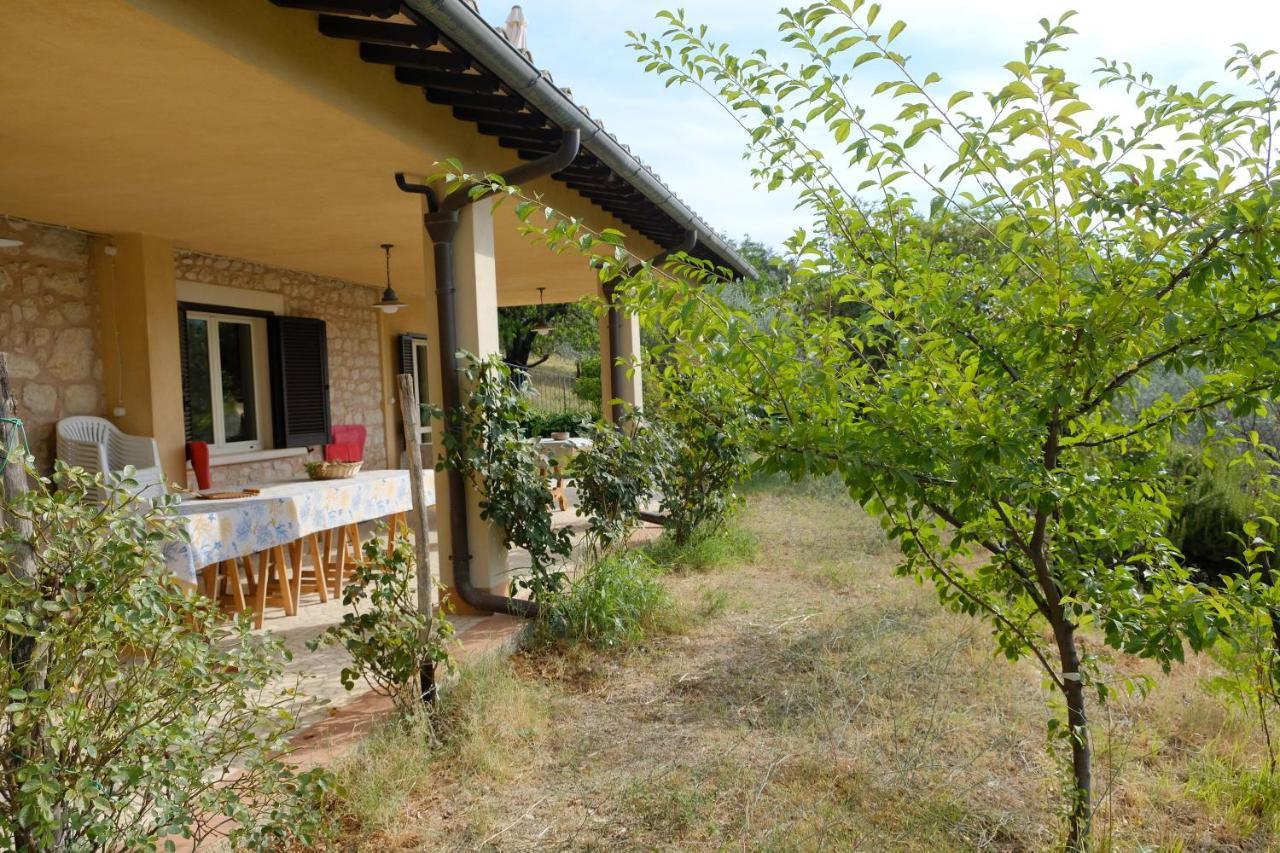 Agriturismo Il Casaletto Montefranco Exterior foto